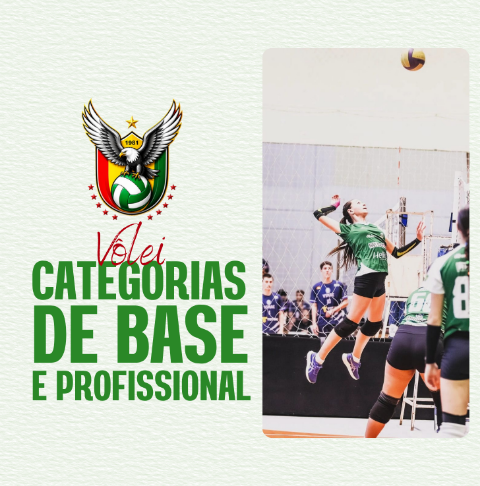 Vôlei - Categorias de base e profissional